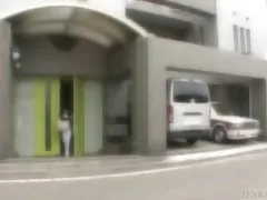 Xogħol generazzjoni u hairy 5 Ġappuniż