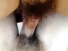 Vit hairy