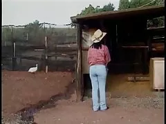 Sess Anal