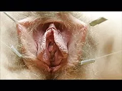 Pussies erġajt