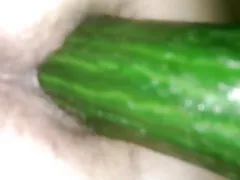 Ħjara gost ma tiegħi gf